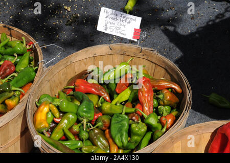 Chilis for sale on Santa Fe's Saturday Farmers' Market. The market is also held, seasonally, on other weekdays. It takes place in the Railyard area. Stock Photo