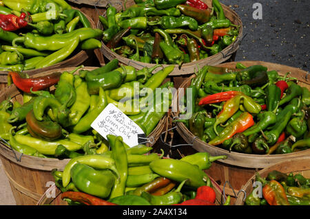 Chilis for sale on Santa Fe's Saturday Farmers' Market. The market is also held, seasonally, on other weekdays. It takes place in the Railyard area. Stock Photo