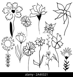 Set of  black and white vector floral greeting card with blooming garden flowers, botanical natural Illustration on white  background in hand drawn do Stock Vector