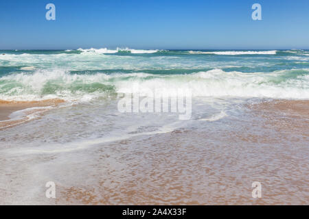 Low angle frontal view of small foamy ocean waves crashing on a sandy beach on a sunny day. Stock Photo