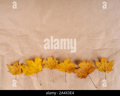 background of gold colored leaves autumn concept. Stock Photo