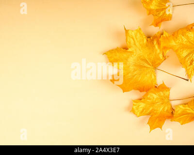 background of gold colored leaves autumn concept. Stock Photo