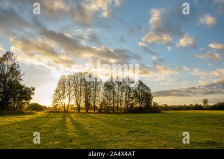 Sun behind trees without leaves, green meadow and clouds on a blue sky. Autumn sunny evening Stock Photo