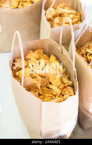 An environmentally friendly paper bag filled with golden yellow delicious fresh chanterelles. There are some other paperbags with mushrooms in the bac Stock Photo