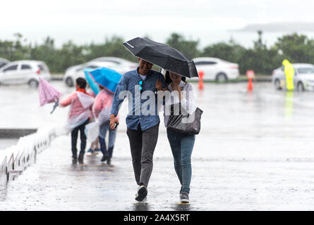 JEJU - SEPT 28: JEJU - SEPT 28: Typhoon. Cold and windy day in Jeju Island on September 28. 2016 in South Korea Stock Photo