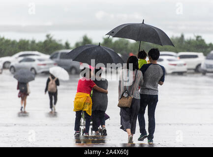 JEJU - SEPT 28: JEJU - SEPT 28: Typhoon. Cold and windy day in Jeju Island on September 28. 2016 in South Korea Stock Photo