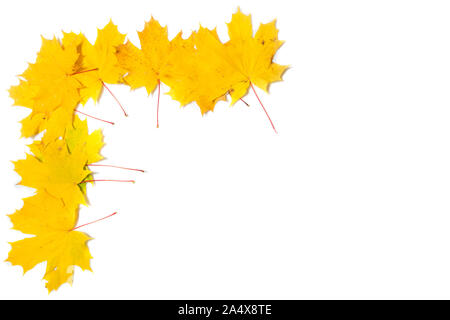 Autumn composition. Frame made of autumn maple leaves Stock Photo