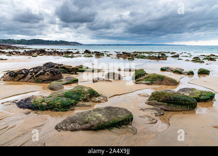 The wet sand and rocks covered with seaweed and mussels are visible at low tide on a beach in northern Brittany Stock Photo