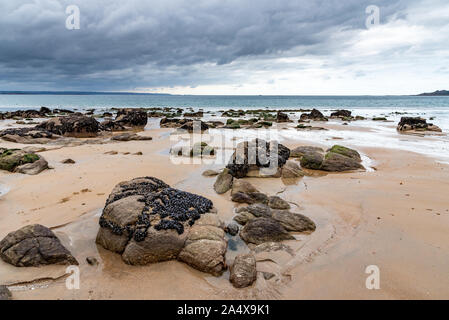 The wet sand and mussel-covered rocks are visible at low tide on a beach in northern Brittany Stock Photo