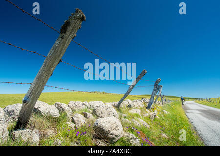 A barbed wire fence along a road of the Aubrac plateau, on the pilgrimage way of Saint Guilhem le Desert Stock Photo