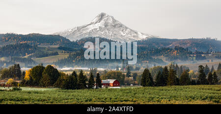 View of a red barn and orchard with Mt Hood in the background in Hood River, Oregon, USA Stock Photo