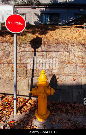 Yellow fire hydrant water hose with red sign under sunlight on sidewalk of Hakodate - Japan Stock Photo