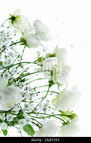 White baby's breath flowers arrangement Stock Photo