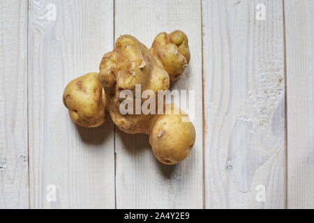 Ugly potato isolated on white wooden background. Stock Photo