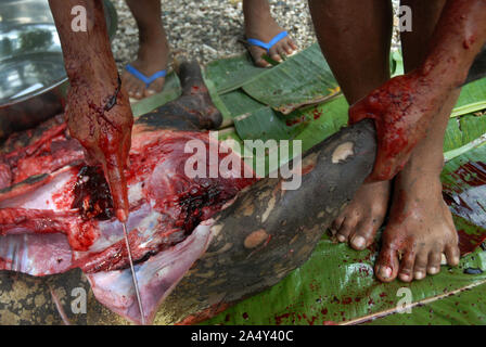 Men cutting up a newly slaughtered pig, Honiara, Solomon Islands. Stock Photo