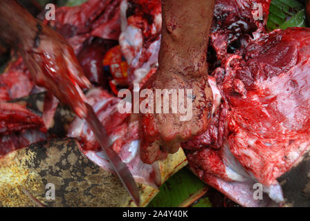 Men cutting up a newly slaughtered pig, Honiara, Solomon Islands. Stock Photo