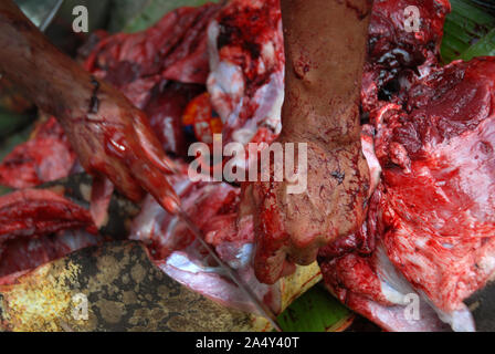 Men cutting up a newly slaughtered pig, Honiara, Solomon Islands. Stock Photo