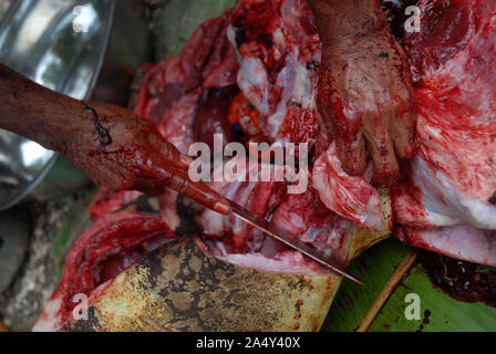 Men cutting up a newly slaughtered pig, Honiara, Solomon Islands. Stock Photo