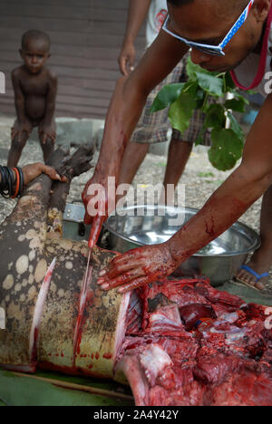 Men cutting up a newly slaughtered pig, Honiara, Solomon Islands. Stock Photo