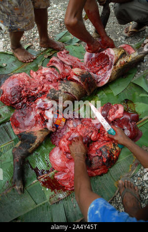 Men cutting up a newly slaughtered pig, Honiara, Solomon Islands. Stock Photo