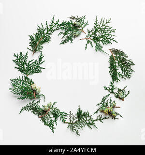 Minimal Christmas circle shaped pattern with copy space. Fir tree or cypress branches on white background. Negative space for design in center. Christmas, winter, new year concept. Flat lay, top view Stock Photo