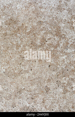 Detailed beige concrete wall background. Closeup photo cement floors. Rough wall texture Stock Photo