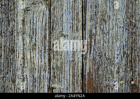 Old wooden door textured with cracks and removed paint from the vertical boards Stock Photo