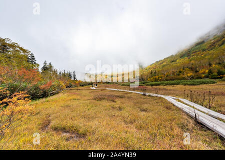 Tsugaike nature park at nagono, otari village Stock Photo