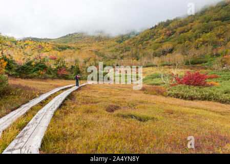 Tsugaike nature park at nagono, otari village Stock Photo