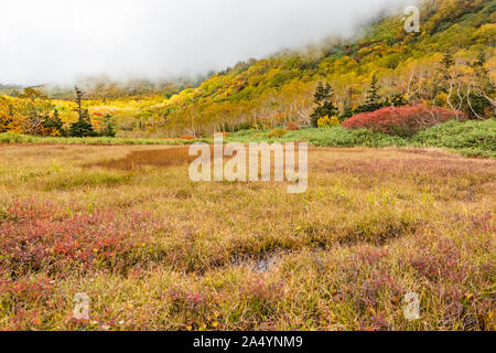 Tsugaike nature park at nagono, otari village Stock Photo