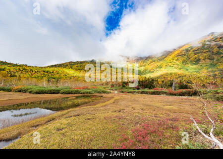 Tsugaike nature park at nagono, otari village Stock Photo