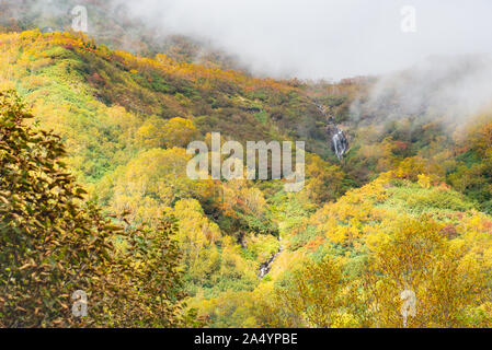 Tsugaike nature park at nagono, otari village Stock Photo