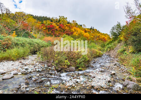 Tsugaike nature park at nagono, otari village Stock Photo