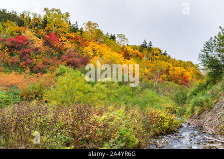 Tsugaike nature park at nagono, otari village Stock Photo