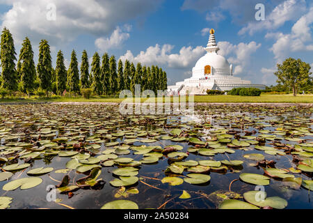 World Peace Stupa in Lumbini, Nepal. World Peace. Stock Photo