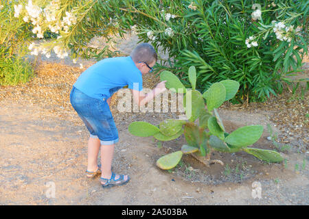 man in a hat studies a cactus plant in hot climates Stock Photo