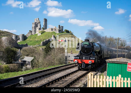 Flying Scotsman pass the Corfe Castle, Dorset, uk Stock Photo