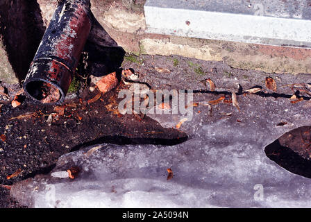 Rusty drain pipe, drops of water from it, dry maple leaves, linden seeds  and melting ice on dark asphalt background texture, spring season specific Stock Photo
