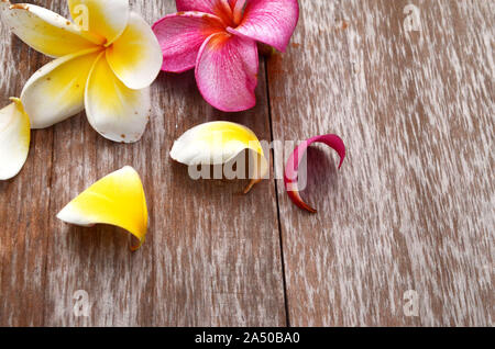 Plumeria flowers on wooden floor Stock Photo