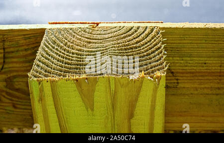 Saw Marks on Wood Stock Photo