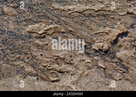 Dirty wet sand on asphalt, grunge horizontal shabby background detail close up Stock Photo