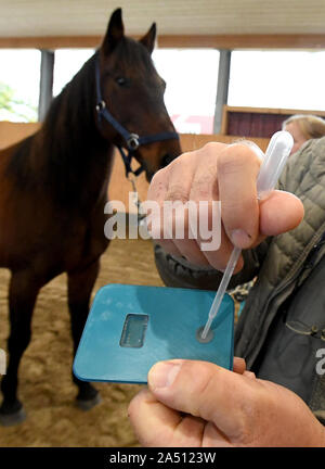 Tappendorf, Germany. 17th Oct, 2019. A prototype is used to demonstrate the function of a lightning test for equine diseases. With the minilab developed by researchers from Hamburg and Schleswig-Holstein, infections can be detected within 15 to 30 minutes. Previously, the samples had to be sent to laboratories and the results only came after three to five days. Credit: Carsten Rehder/dpa/Alamy Live News Stock Photo