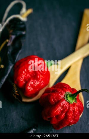 Hottest pepper in the world. Trinidad Scorpion Butch, thousands of times more spicy than Habanero. On black slate background, with natural light. Stock Photo