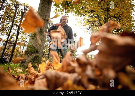 Hanover, Germany. 17th Oct, 2019. Joachim, gardener in the Herrenhäuser Gardens, blows leaves from a meadow. Credit: Sina Schuldt/dpa/Alamy Live News Stock Photo