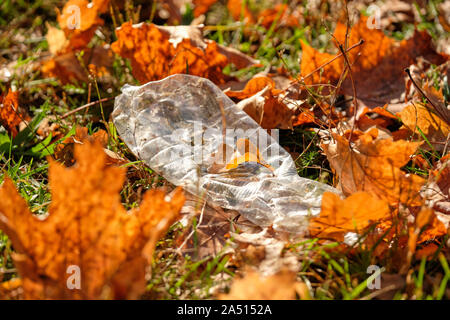 Beautiful natural autumn lawn covered with fallen fall foliage with plastic waste in form of an empty water bottle. Seen in Germany, Bavaria in Octobe Stock Photo