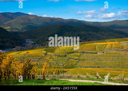 View to the Grand Ballon from the vineyards of Westhalten in Alsace in France Stock Photo