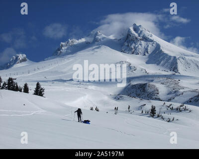 Backcountry skier, pulling a sled, heads up Mt. Hood's snow covered slope for an over night snow camp. Stock Photo