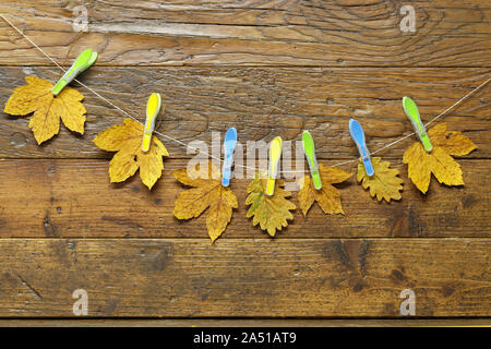 Yellow autumn leaves hanging on plastic clothespins Stock Photo
