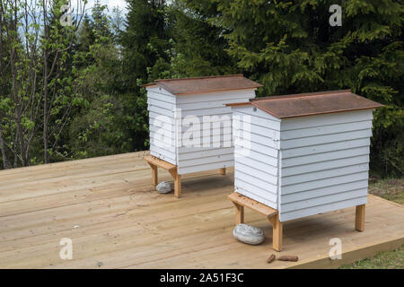 Beehives. Beehive set on wood stands. Blurred mountain forest background. Selective focus.
