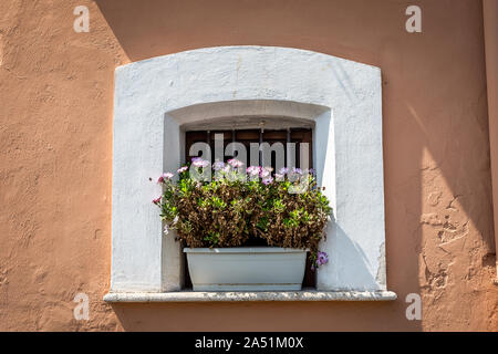 Beautiful window decorated with flowers in Isola del liri, Frosinone, Italy. Stock Photo